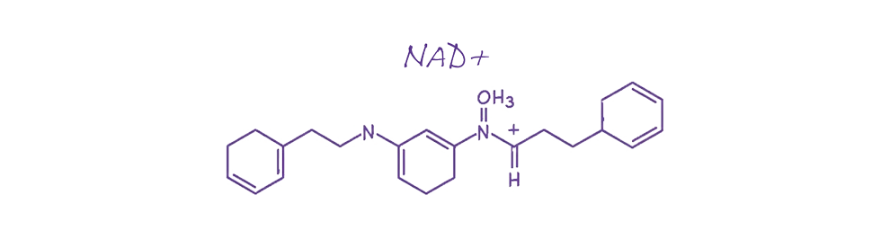 NAD+ IV drips